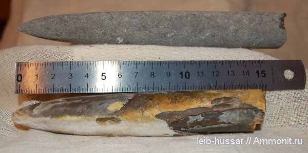 белемниты, Пески, юрский период, Jurassic, belemnites