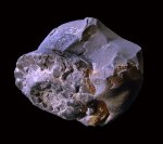 Гониатит? Ракурс №2.