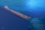Юрский белемнит Cylindroteuthis