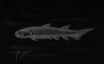 Акантод Euthacanthus