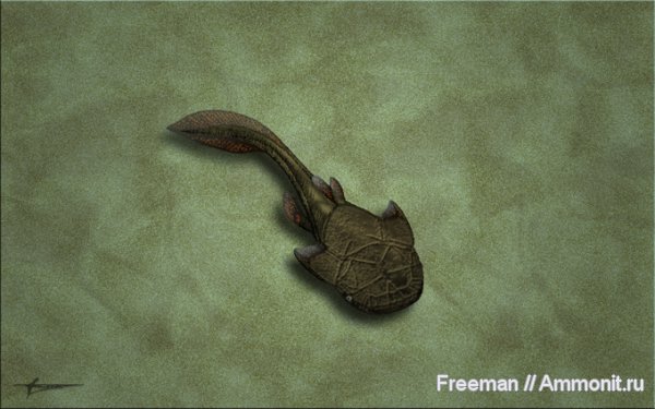 девон, рыбы, Devonian, реконструкция, Placodermi, Phyllolepida, Austrophyllolepis, fish