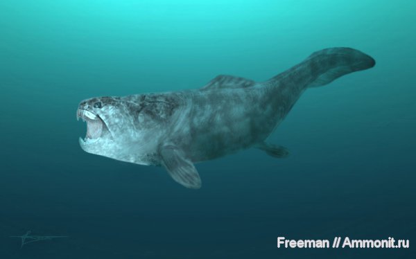девон, рыбы, Dunkleosteus, Devonian, реконструкция, Placodermi, Dunkleosteus terrelli, fish