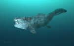 Dunkleosteus terrelli