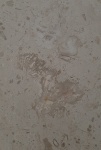 Коралл