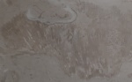 Коралл