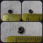 Аммонит Perisphinctidae
