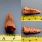 Enchodus ? или Ichthyodectiformes ?