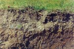 фото оксфорд-келловейских слоев у Анциферово