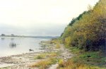 Берег р. Оки в районе д. Алпатьево. Берег р. Оки в районе д. Алпатьево.