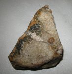Колониальный коралл