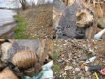 Кимры 25.04.2010