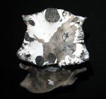 Поперечное сечение Euaspidoceras