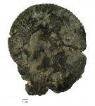Dorsoplanites serus