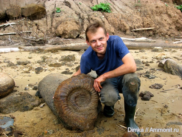 юра, волжский ярус, Lomonossovella, Volgian, Jurassic