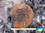 Epivirgatites?