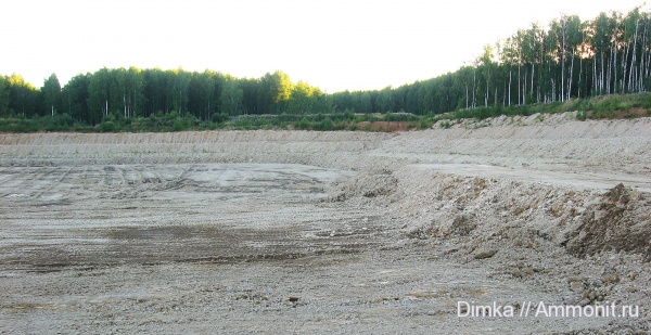 мел, верхний мел, Владимирская область, Афанасовский карьер, Cretaceous, Upper Cretaceous