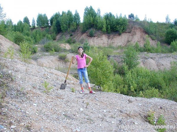 окаменелости, Fossils