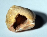 Полая раковина