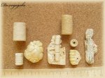 Фрагменты различных частей морских лилий