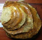 42980002 - Inoceramus cf. lamarckii