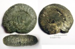 418B0120 - Dorsoplanites cf. panderi