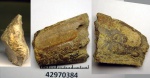 42970384 - Elasmodus 42970384 - Elasmodus