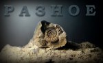 РАЗНОЕ