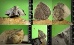 Осколки из Диченского карьера.