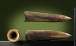 Simobelus (Liobelus) prolateralis.