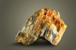 Рinus -2