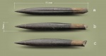 Dicoelites octobris Dzyuba sp.