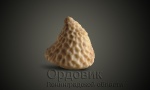 Ордовик Ленинградской области.