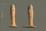 Dittopora clavaeformis Dybowski, 1877