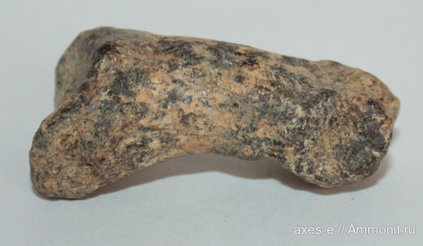 пещерный медведь, Ursus spelaeus, антропоген, фаланги, phalanx