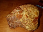 Брекчия с морскими обитателями 1