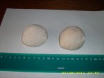 морские ежи echinocorys