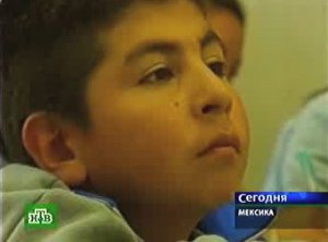 Стать палеонтологом никогда не рано