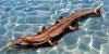 Морской крокодил юрского периода