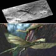 Летающая ящерица с длинной шеей