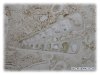 Обновления на сайте www.paleometro.ru