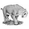 Smilodon кусал слабо, но метко