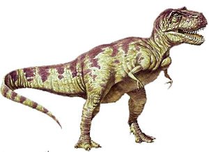Третий палец Tyrannosaurus rex