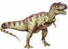 Третий палец Tyrannosaurus rex