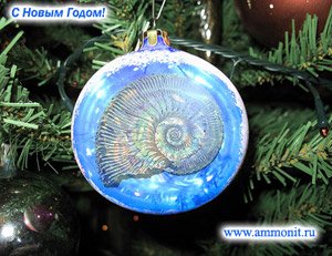 Палеонтологический обзор 2007