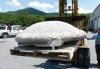Строматолитовая постройка возрастом около полумиллиарда лет