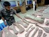 Похищенные окаменелости вернулись в Аргентину