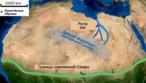 Ученые пытаются понять, как древние люди вышли из Африки