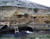 Карликовых мамонтов тоже погубил метеорит?