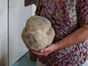 Голова динозавра, каменная, с острыми злыми глазами