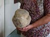 Голова динозавра, каменная, с острыми злыми глазами